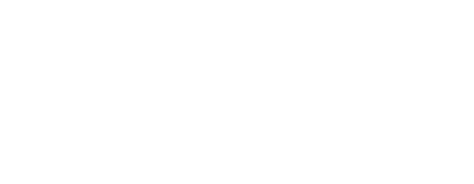 Wizdom